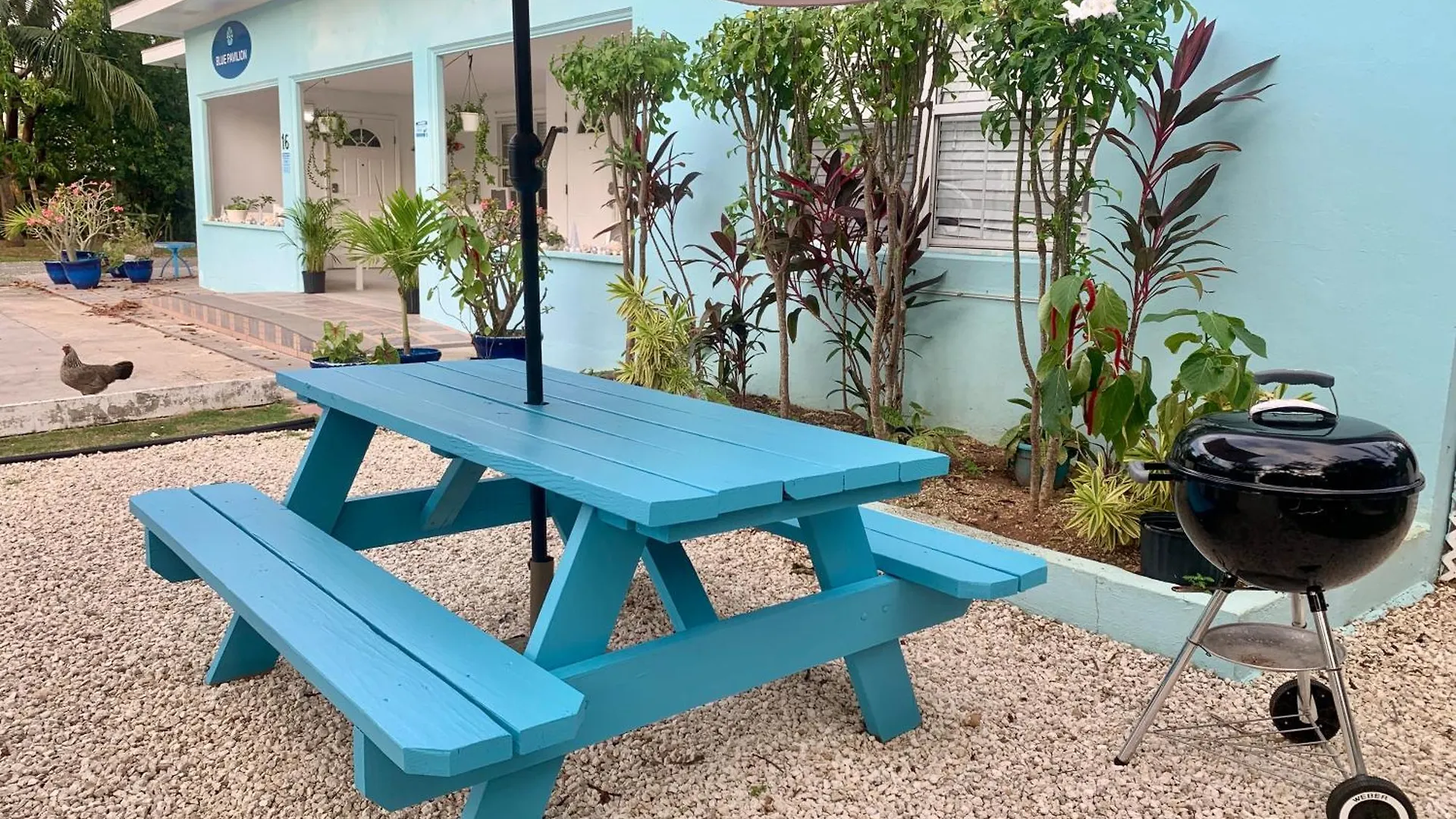 Apartment Suite 3, Blue Pavilion - Steps To Beach - Car, Value, Service West Bay Cayman Islands